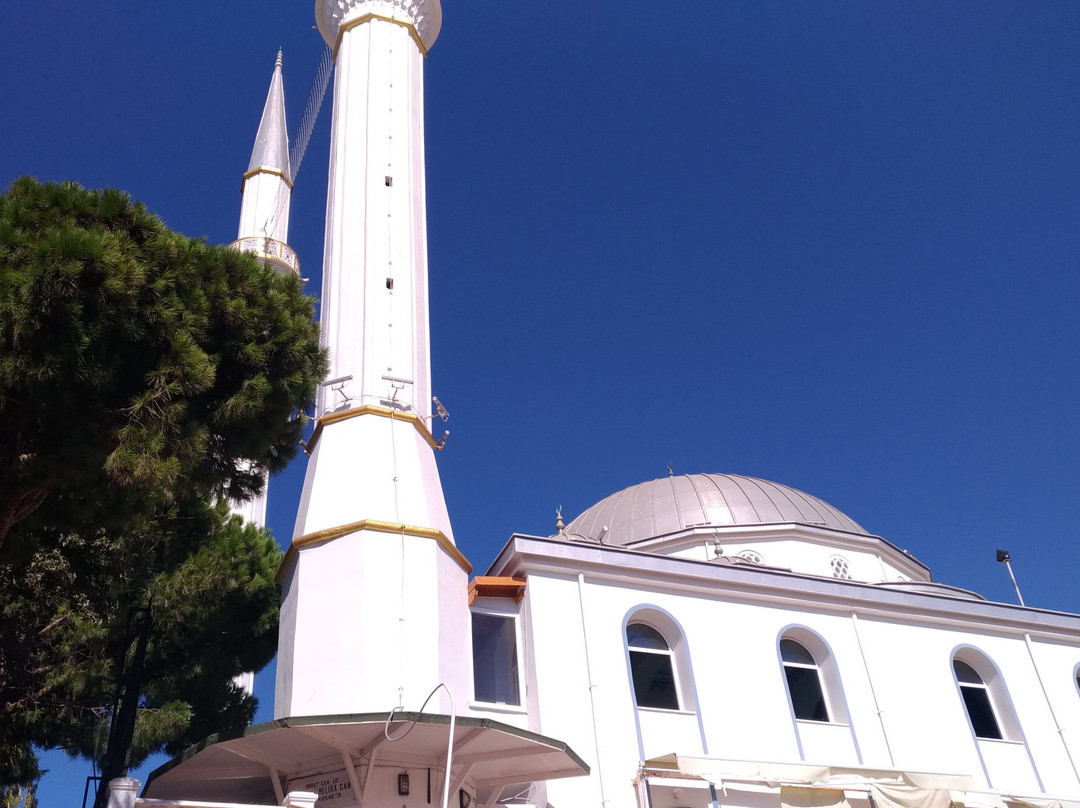 Turgutreis Merkez Cami景点图片