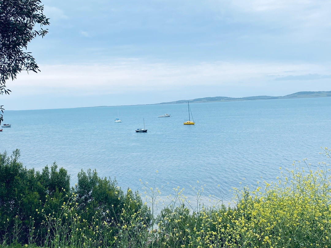 Parnkalla Walking Trail-Port Lincoln必去景点