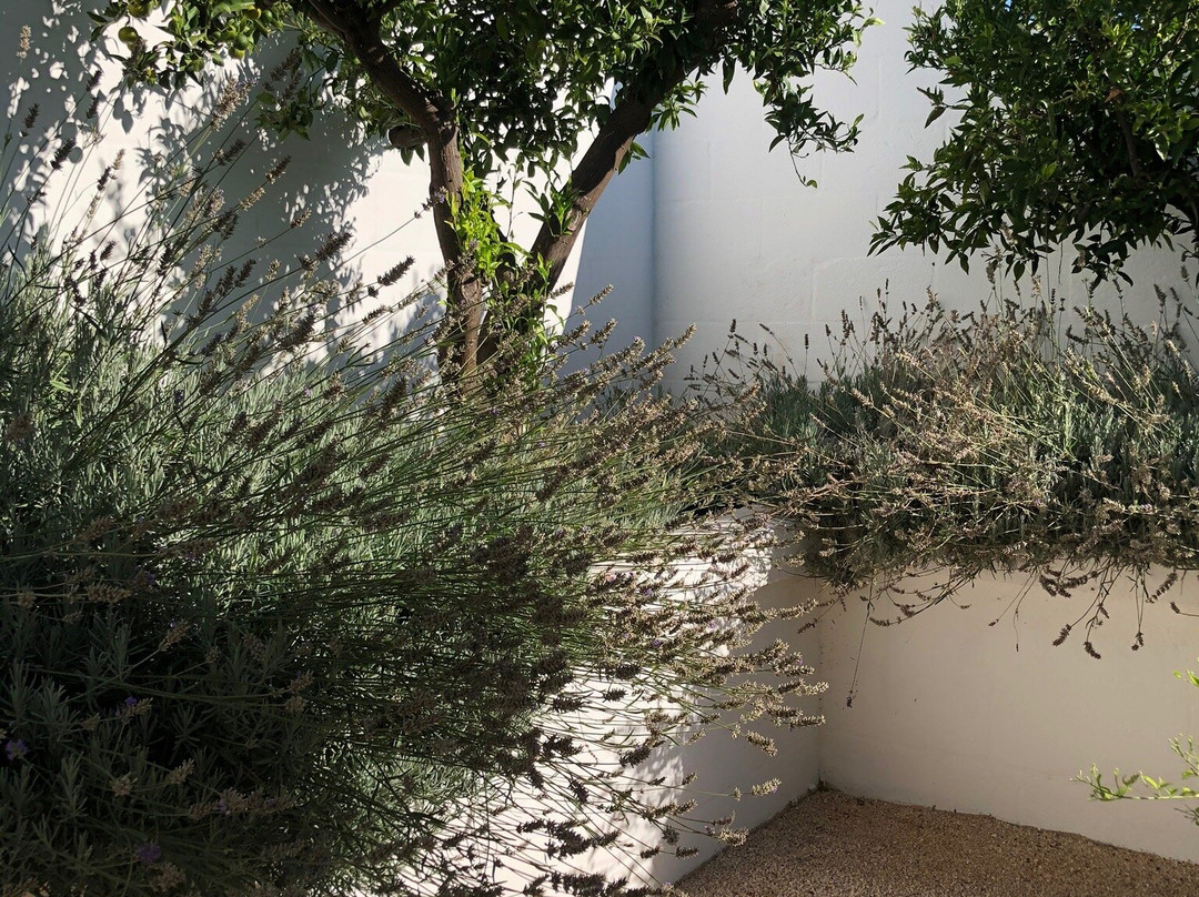 Masseria Spesseto主图