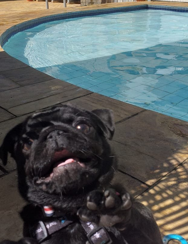 Hotel Arrastao Plaza主图