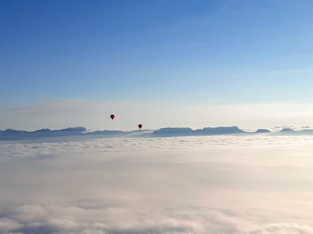 Aircat-维克必去景点