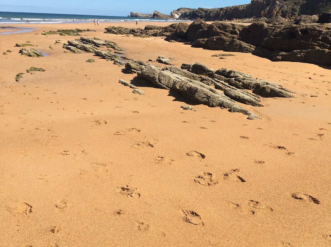 Playa De Valdearenas景点图片