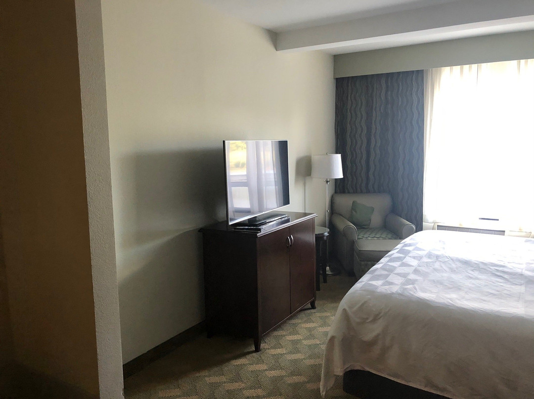 罗克山假日酒店主图