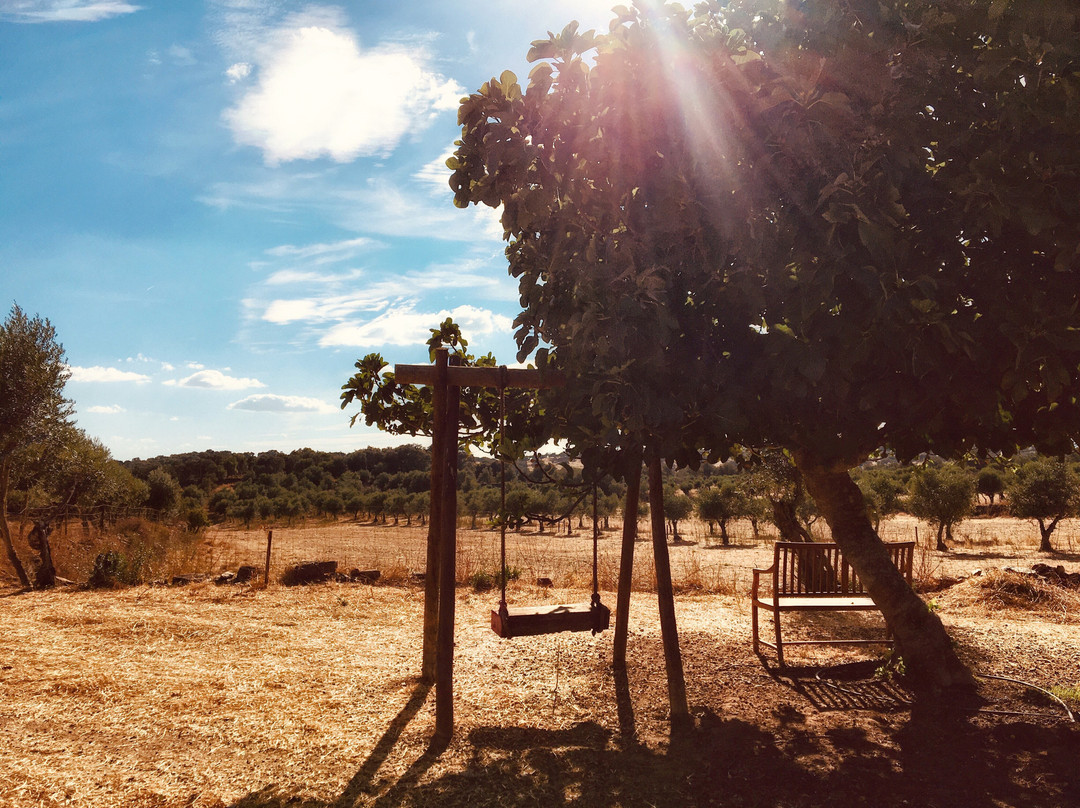 Quinta da Soneca主图