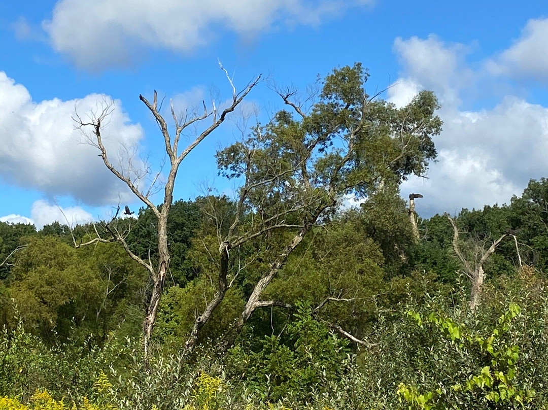West Lake Preserve-Chelsea必去景点