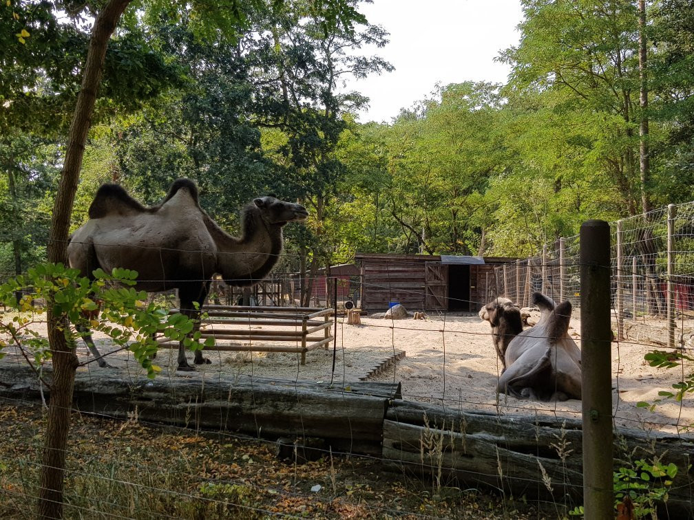 Tierpark Ueckermünde景点图片