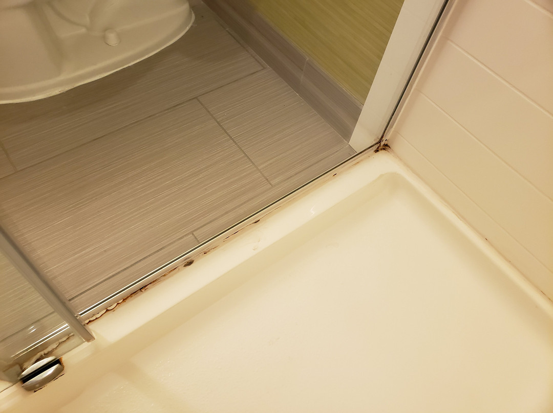 安娜堡智选假日快捷酒店主图