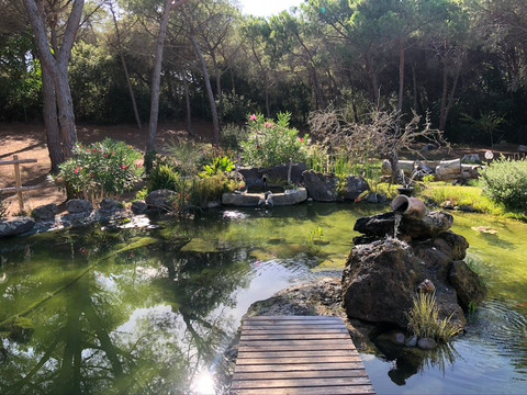 Arboriamar旅游攻略图片