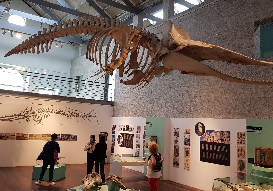 Museo do Mar de Galicia-比戈必去景点