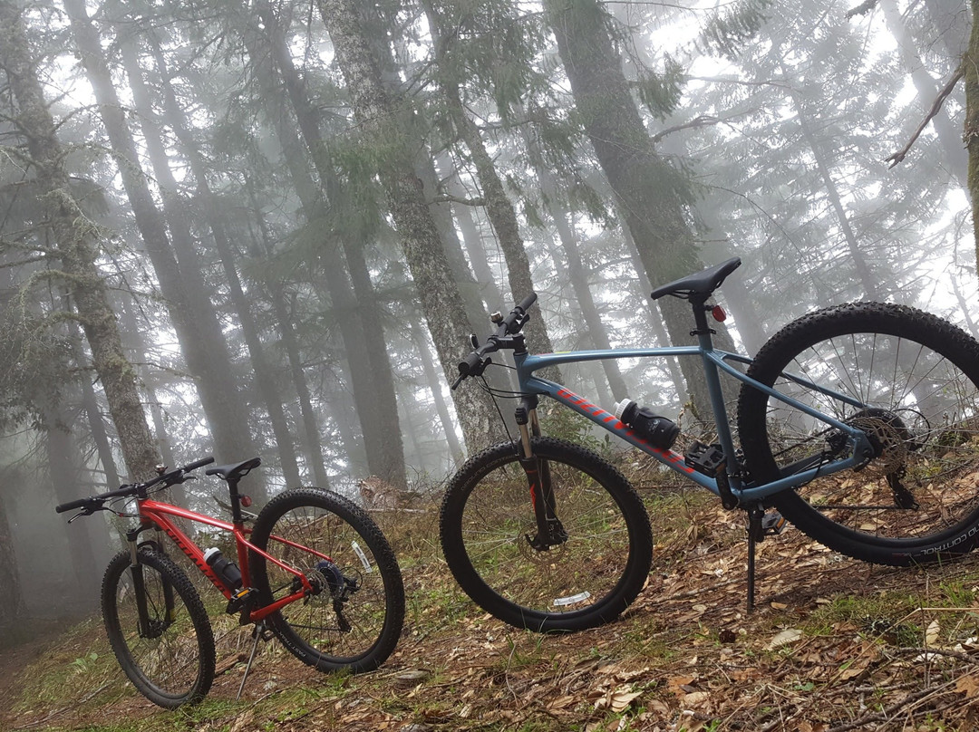 WILDTRAIL Tours景点图片