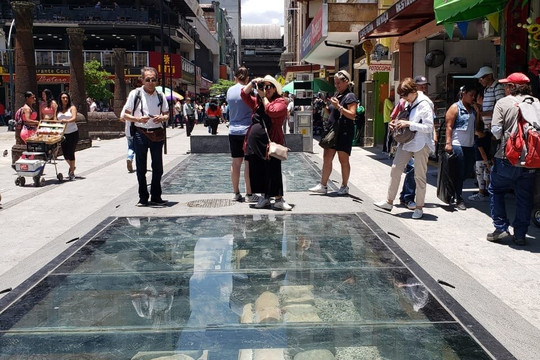 Medellin City Services-恩维加多必去景点