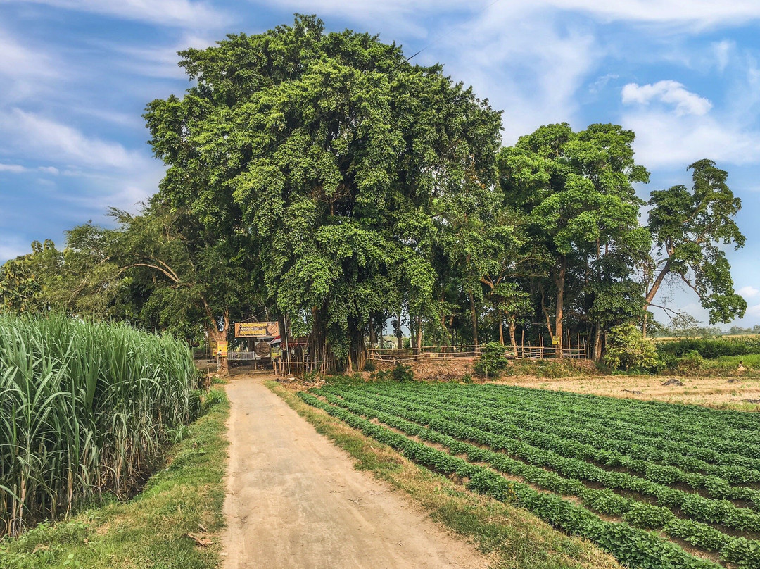 Candi Petirtaan Sumberbeji-Jombang必去景点