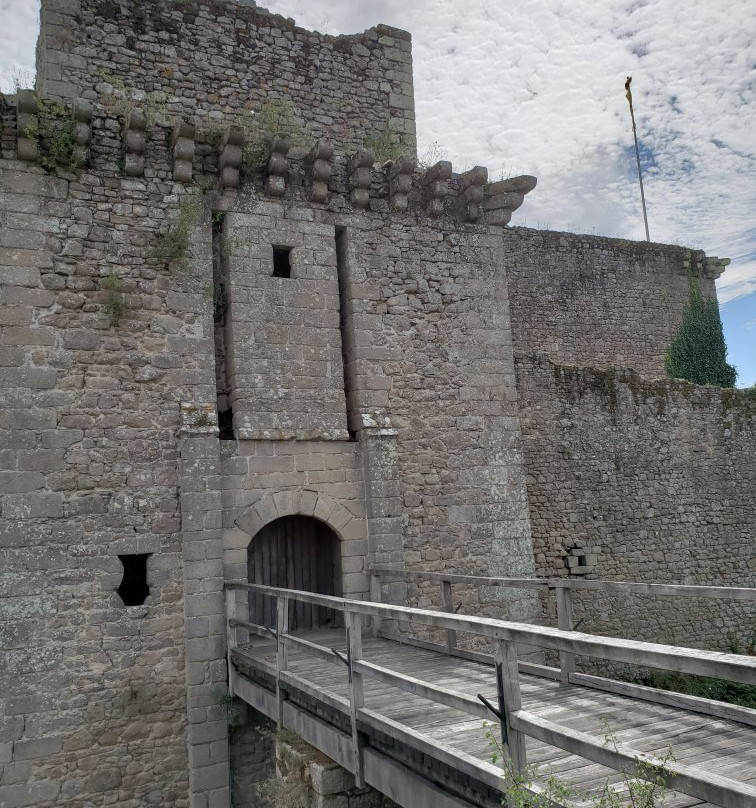 Chateau de Tiffauges景点图片