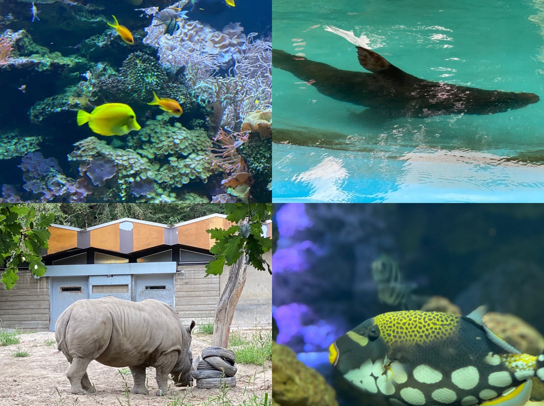 Zoo Duisburg景点图片