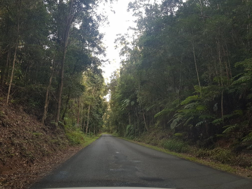 Ulidarra National Park景点图片