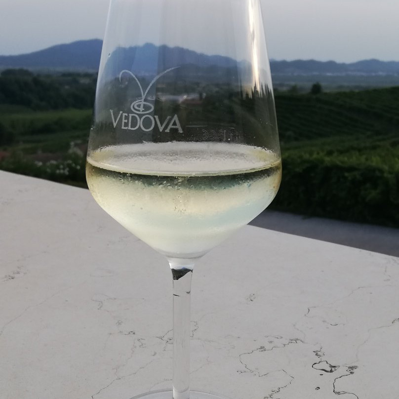 Agriturismo Vedova主图