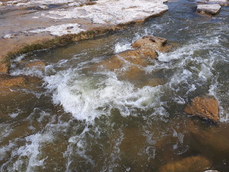 Falls Reserve Conservation Area景点图片