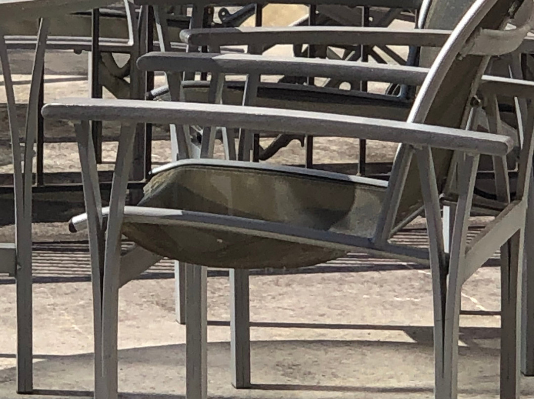 Hilton Promenade at Branson Landing主图