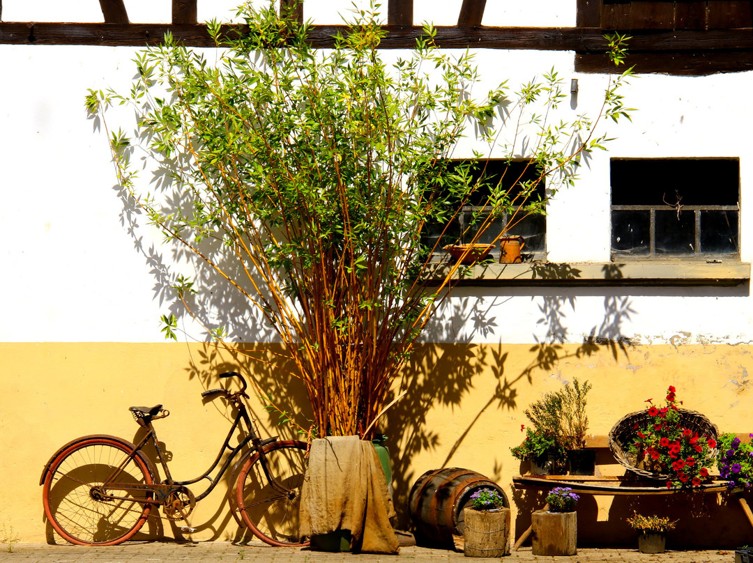 Office de Tourisme de l'Alsace Verte景点图片