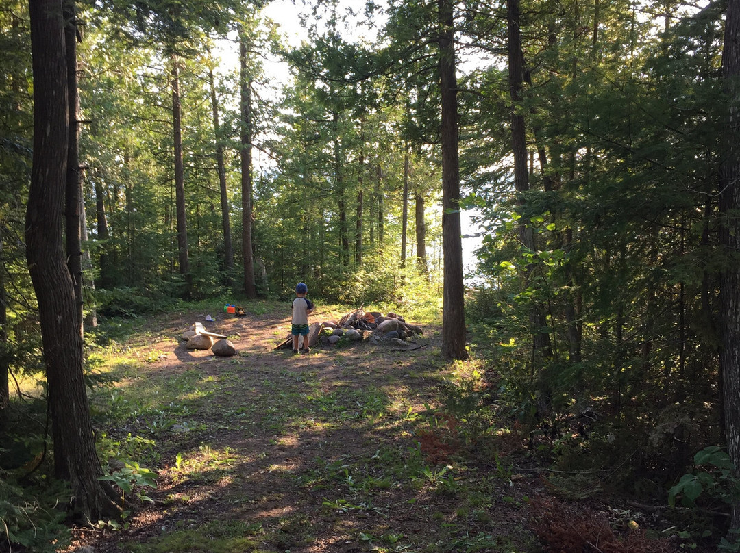 Silver Birches Resort主图