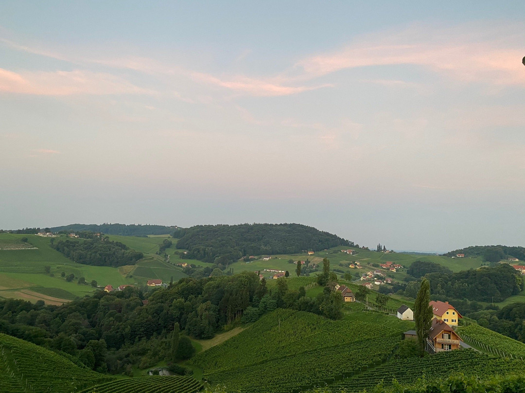 Weingut Wolfgang Maitz主图