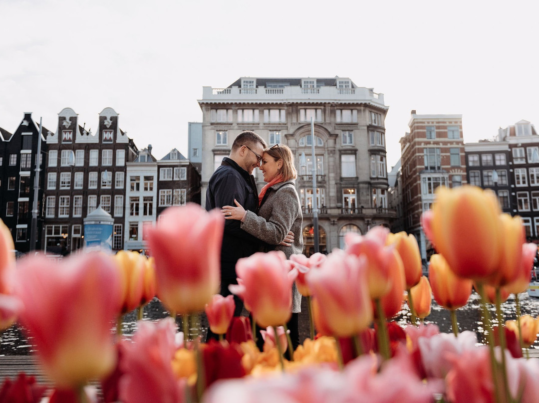 Sarah's Tours Amsterdam-阿姆斯特丹必去景点