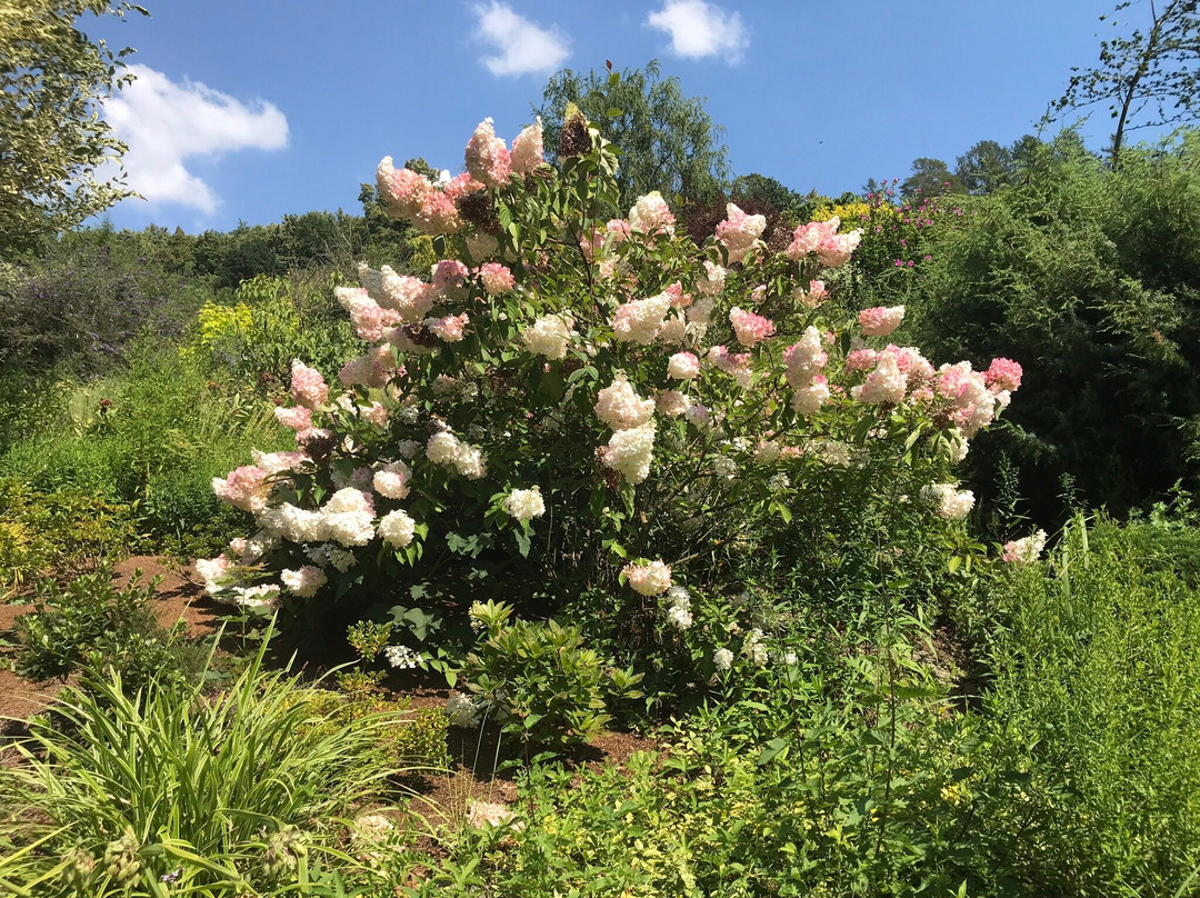 Arboretum Makču Pikču景点图片