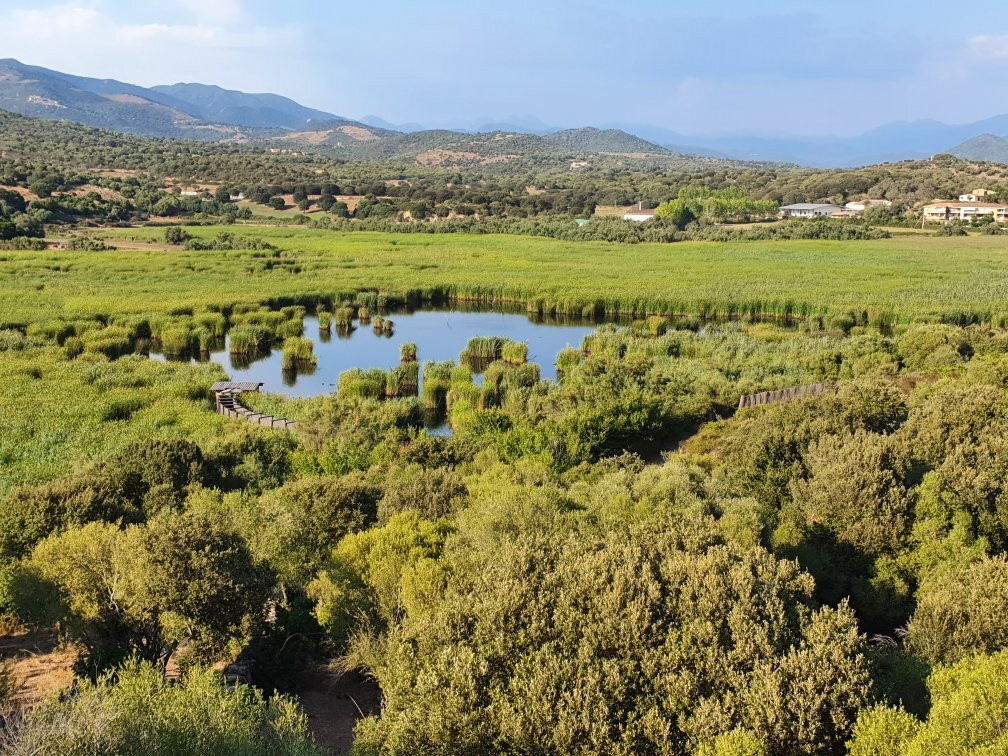 Etang de Tanchiccia-Serra-di-Ferro必去景点