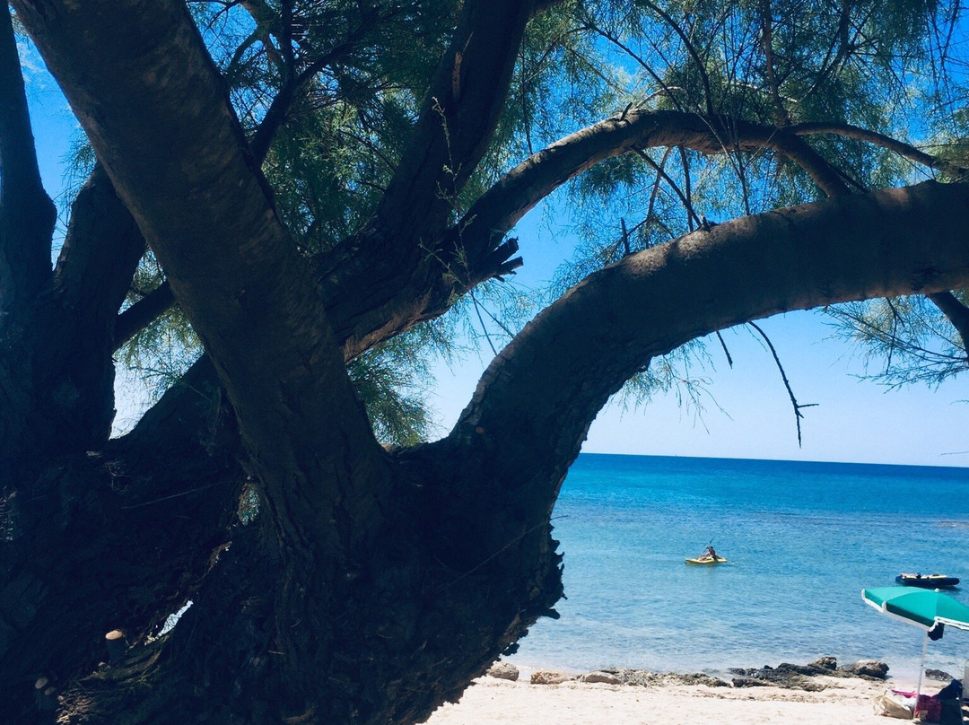 Torre dell'Ovo-Maruggio必去景点