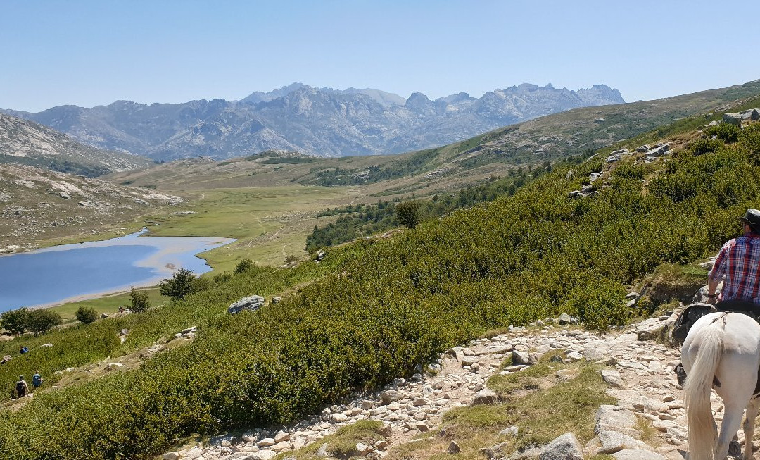 Ranch u Niolu a Cavallu景点图片