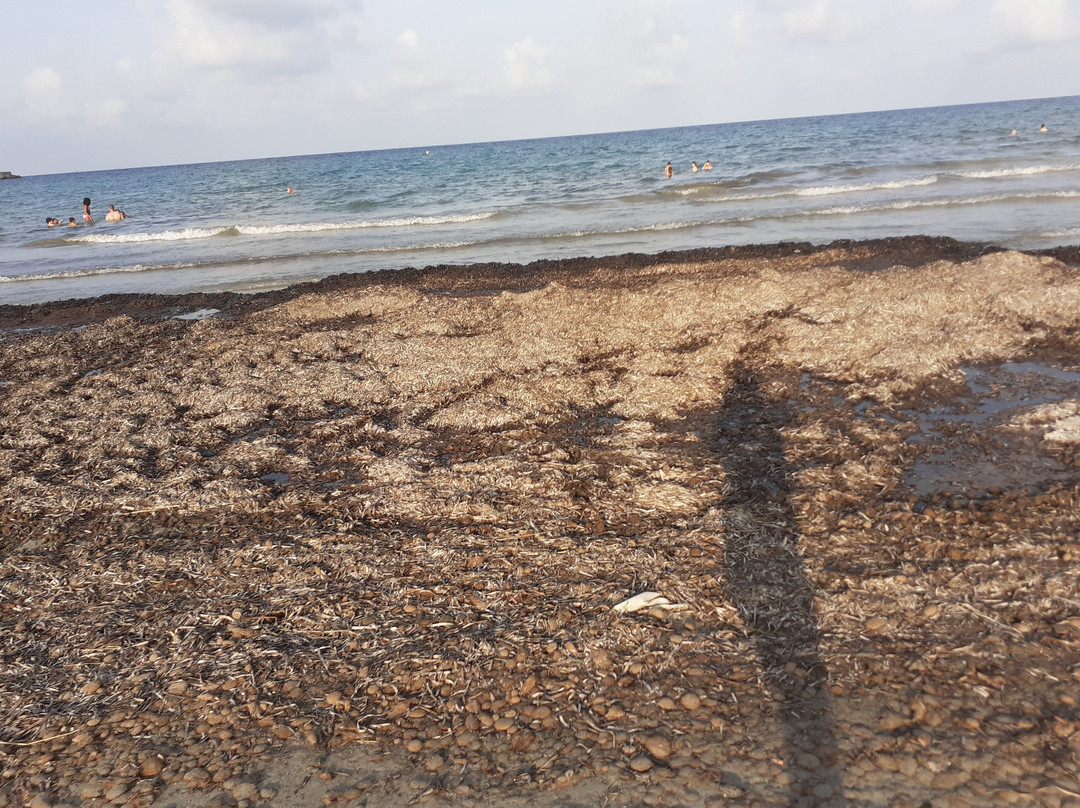 Playa de la Llana-Lo Pagán必去景点