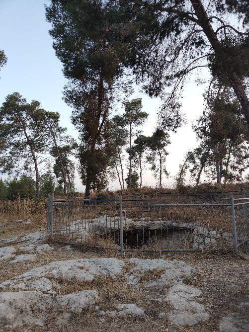 HaMal'akhim Shkharya Forest景点图片