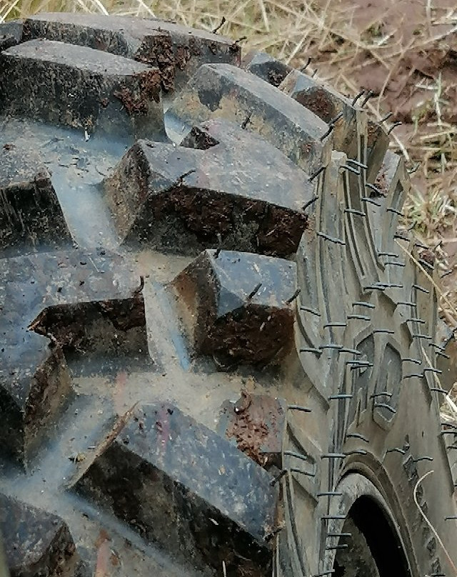 Bugg's Buggy 974景点图片