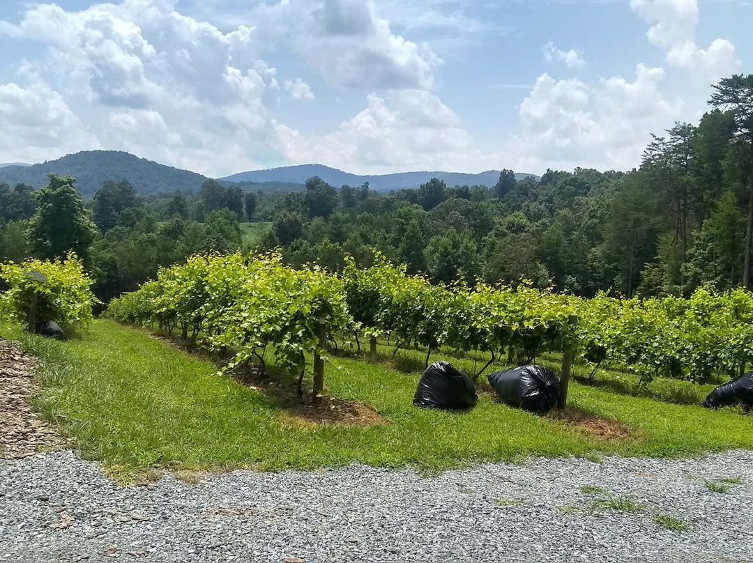 Ott Farms and Vineyard-Ellijay必去景点