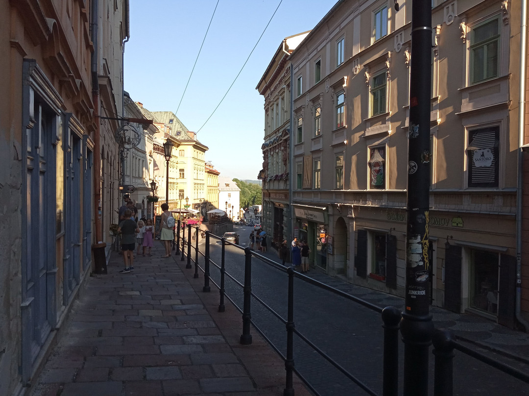 Penzión na Kopci - Alena Dobrovičová主图