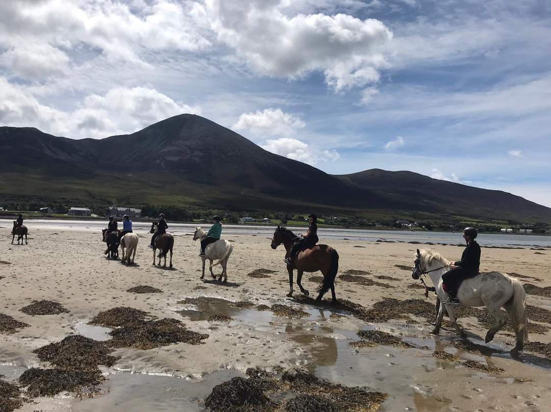 Croagh Patrick Stables景点图片