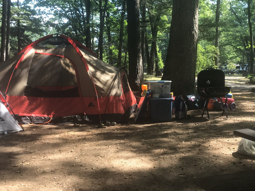 Interlochen State Park景点图片
