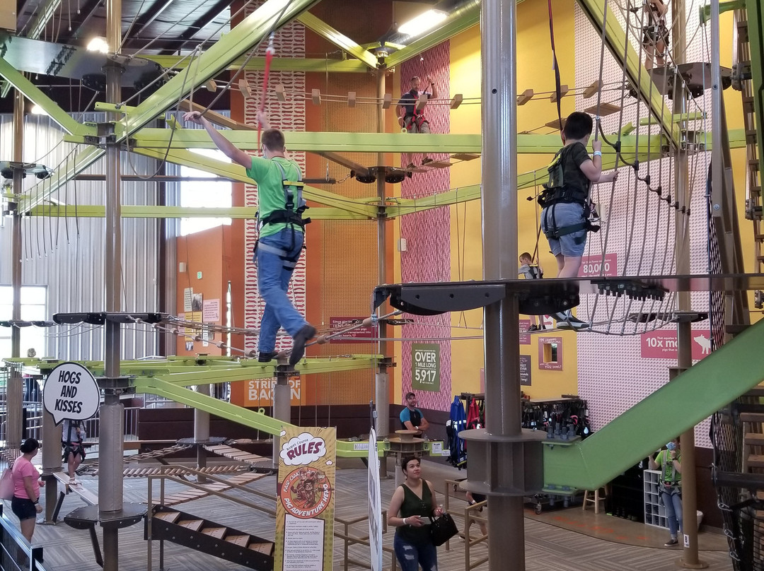 Fair Oaks Dairy Adventure景点图片