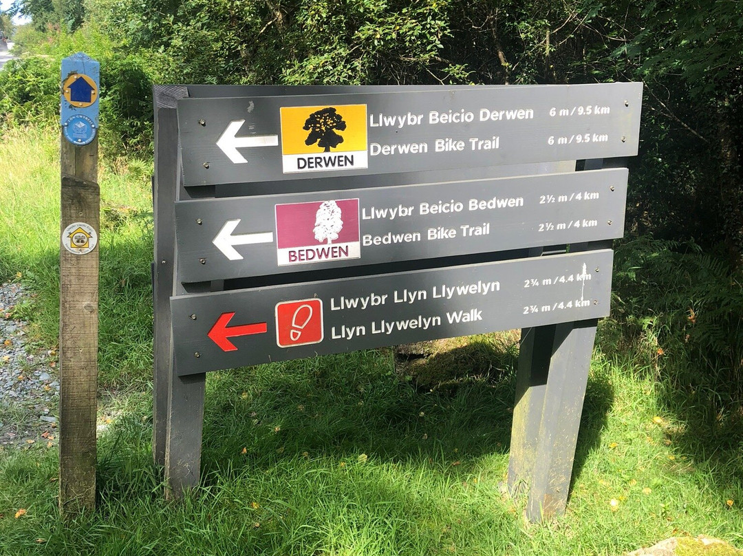 Beddgelert Forest景点图片