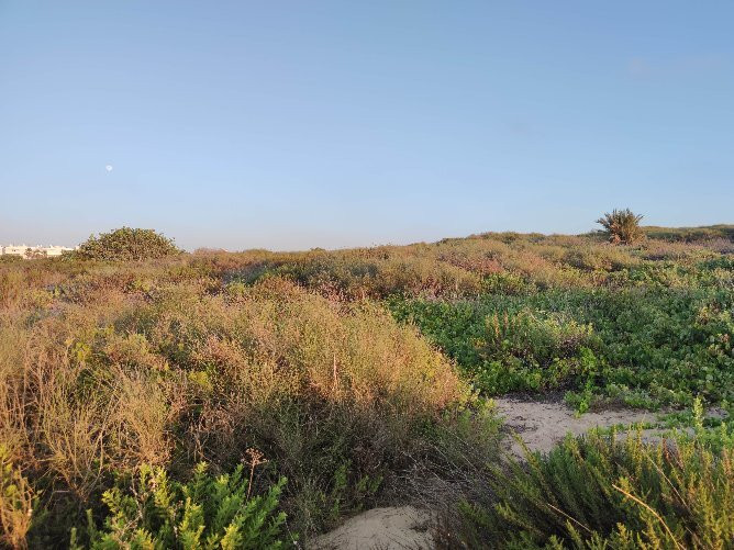 Ashdod Yam Park-阿什杜德必去景点