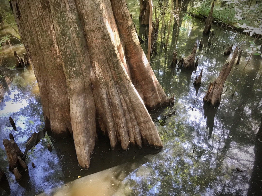 Mississippi Delta-Belzoni必去景点