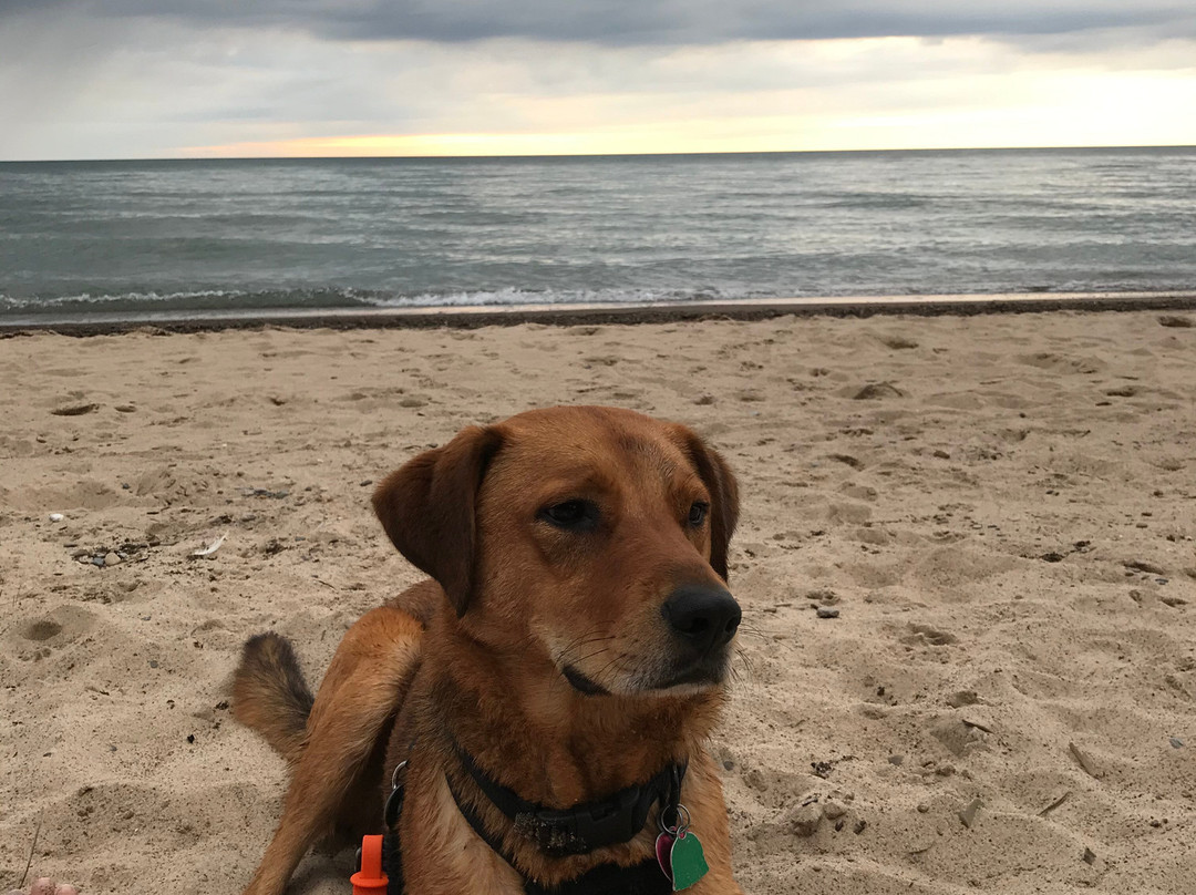 Gordon Beach Inn主图