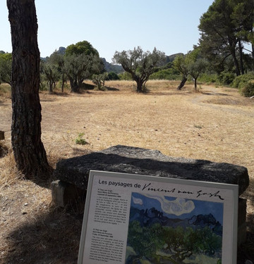 Van Gogh Walk-圣雷米必去景点