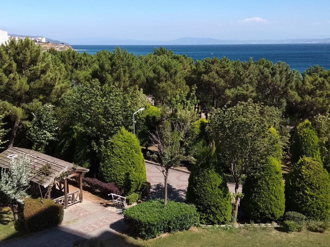İhlas Armutlu Tatil Köyü主图