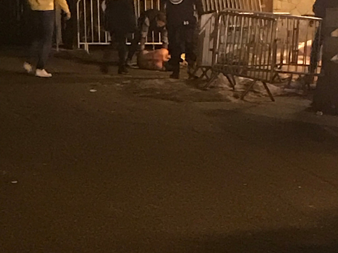 L'Avalanche-莱德萨阿尔卑斯必去景点