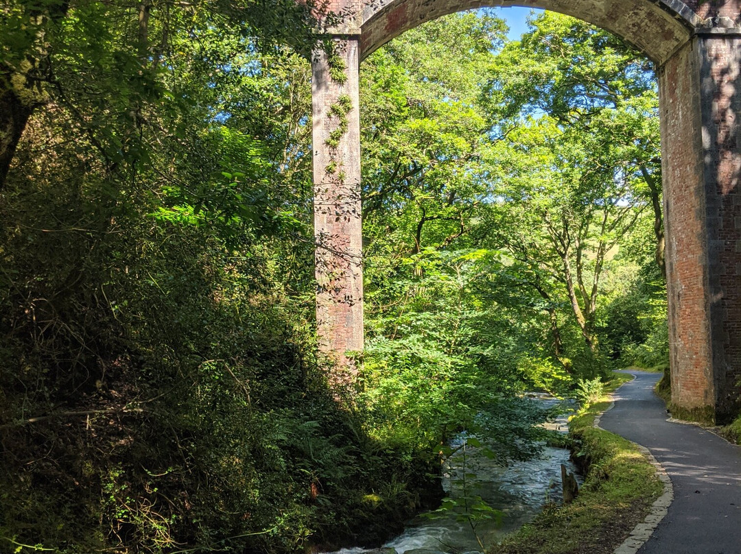 Dolgoch Falls-雪墩国家公园必去景点