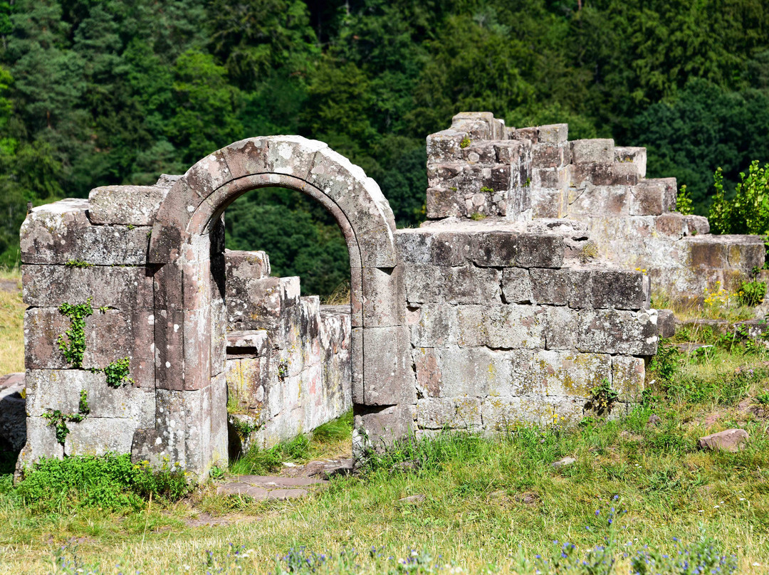 Chateau de Lutzelbourg景点图片
