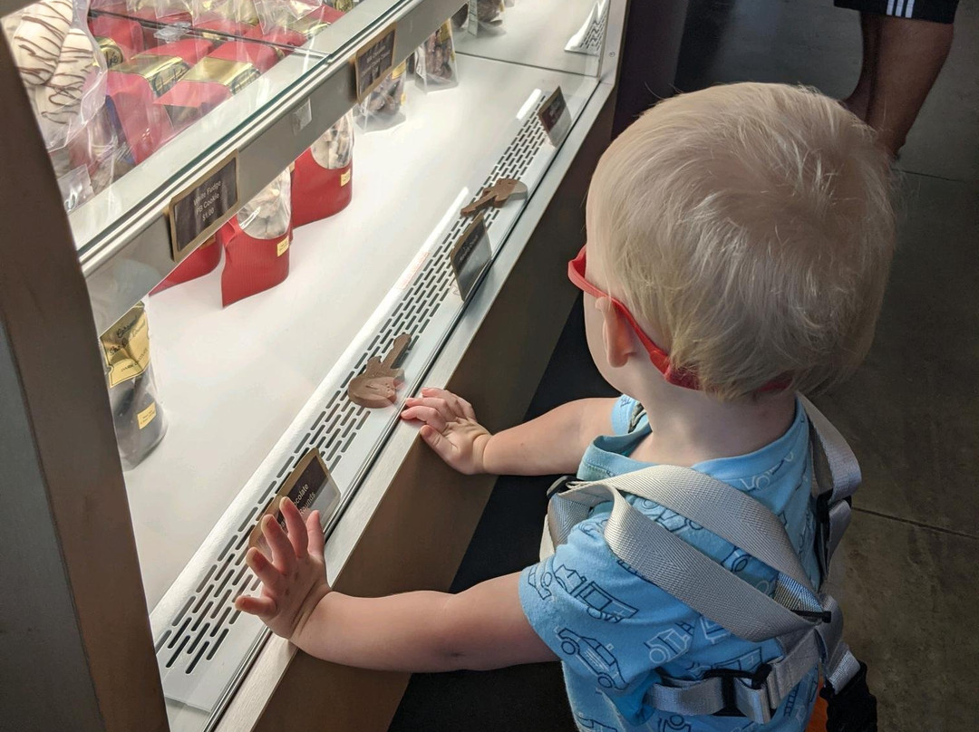 Bedré Fine Chocolate-Davis必去景点