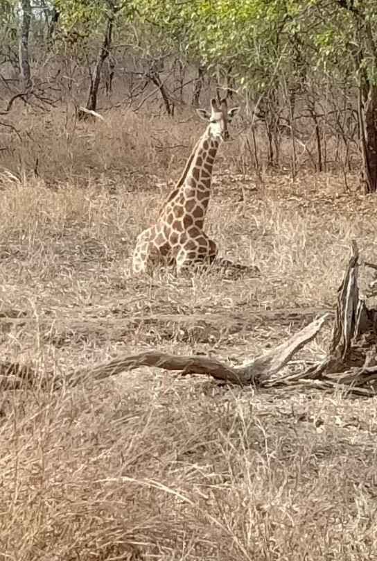 Majete Wildlife Reserve-Chikwawa必去景点