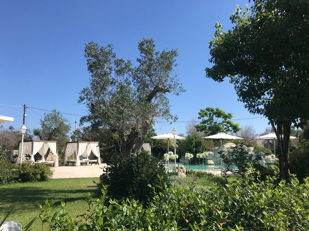 Willaria Country House主图